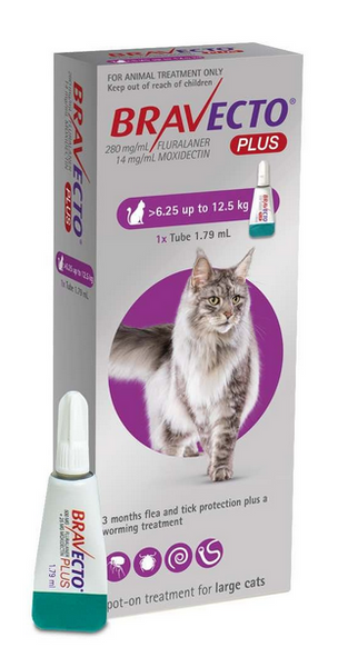 Bravecto PLUS Topical Solution for Large Cats (Purple) 6.25-12.5 kg (13.8-27.5 lbs) - No Rx required