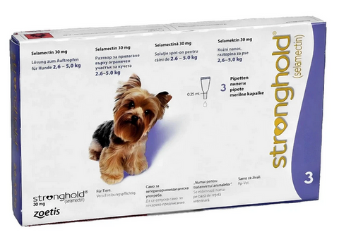 Stronghold for Extra Small Dogs (Violet) 5-10lbs (2.6-5kg) - No Rx required