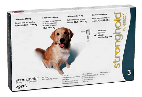Stronghold for Large Dogs (Teal) 40-85lbs (20.1-40kg) - No Rx required