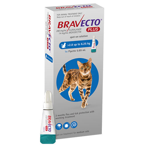 Bravecto Plus For Medium Cats 2.8 - 6.25 kg (6.1 - 13.7 lbs)