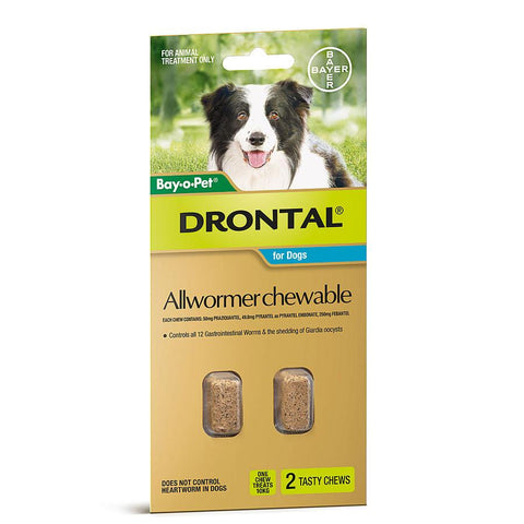 Drontal Allwormer Chewable For Dogs 22 lbs