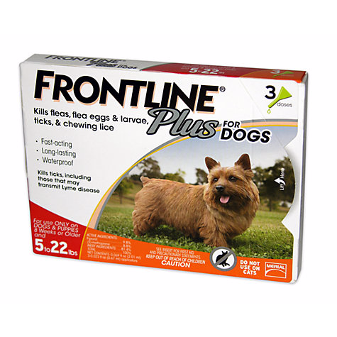 Frontline flea and sales tick for small dogs