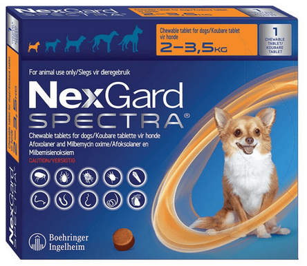 NexGard Spectra For Extra Small Dogs 2-3.5kg - 3pk 1EA
