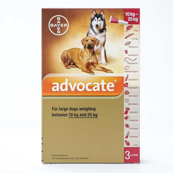 Advocate (Advantage Multi) flea and heartworm Spot-on For Large Dogs 22-55 lbs (10-25 kg)