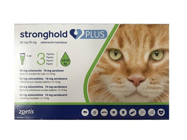 Stronghold Plus 60 mg/10 mg spot-on solution for Large Cats >5–10 kg (11-22 lbs)