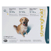 Stronghold Teal For Dogs 44-88 lbs (20-40 kg)