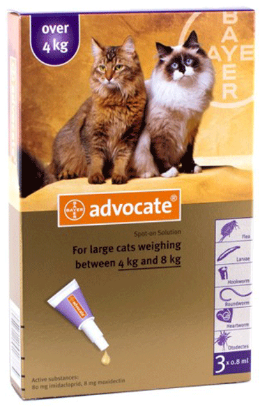 Advocate (Advantage Multi) Spot-on For Large Cats over 4 kg (8.8 lbs) 3 Pack