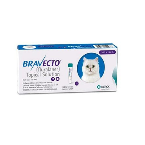 Bravecto 500mg Spot-On Solution For Large Cats 13.8-27.5lbs, PetVetsOnline